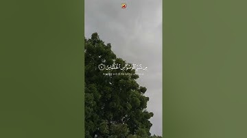 سورة الناس | القارئ عبد الرحمن مسعد #quran #قرآن #عبدالرحمن_مسعد #عبدالرحمن_مسعد