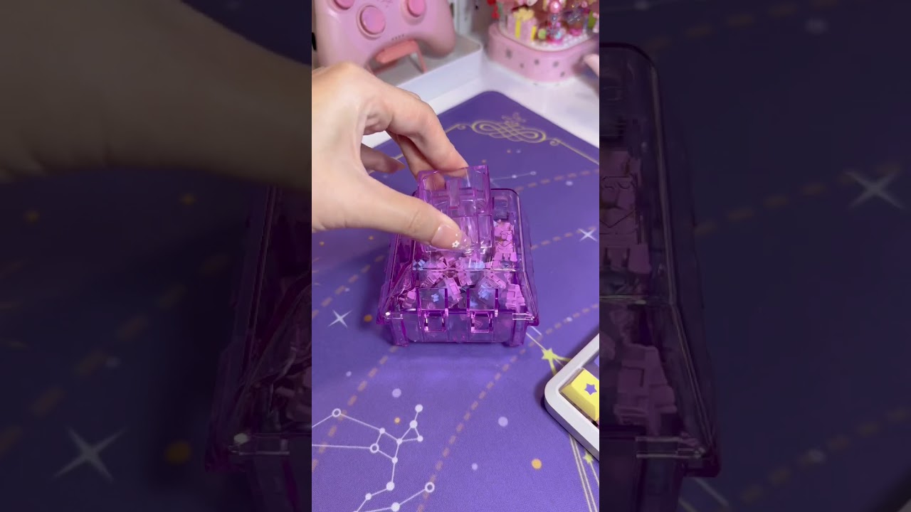 Kailh switch storage box 