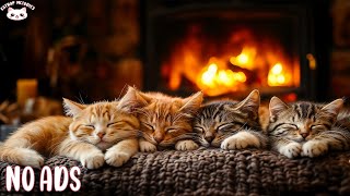 : Relaxing To Calming Music for Cats And Cozy Fireplace for Peaceful Night  Deep Sleep, Relax, Study