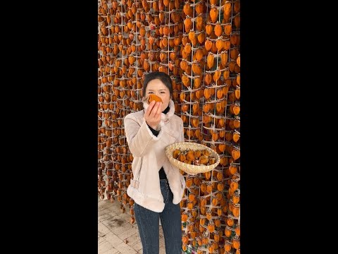 Video: Sambuc Gemaak Van Persimmon, Appels En Wortels