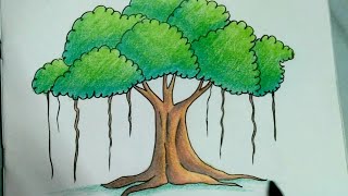 How To Draw Banyan Tree Tree Of India डकचतरकसबनए