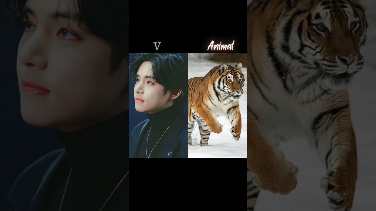 BTS member's with their animals💜