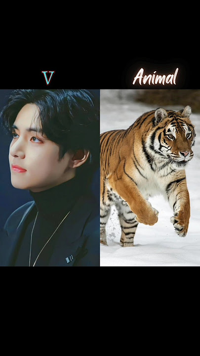 BTS member's with their animals💜#bts #jin #btsarmy #rm #jimin #jhope #suga #btsv #btsv #jk#kpopidolk