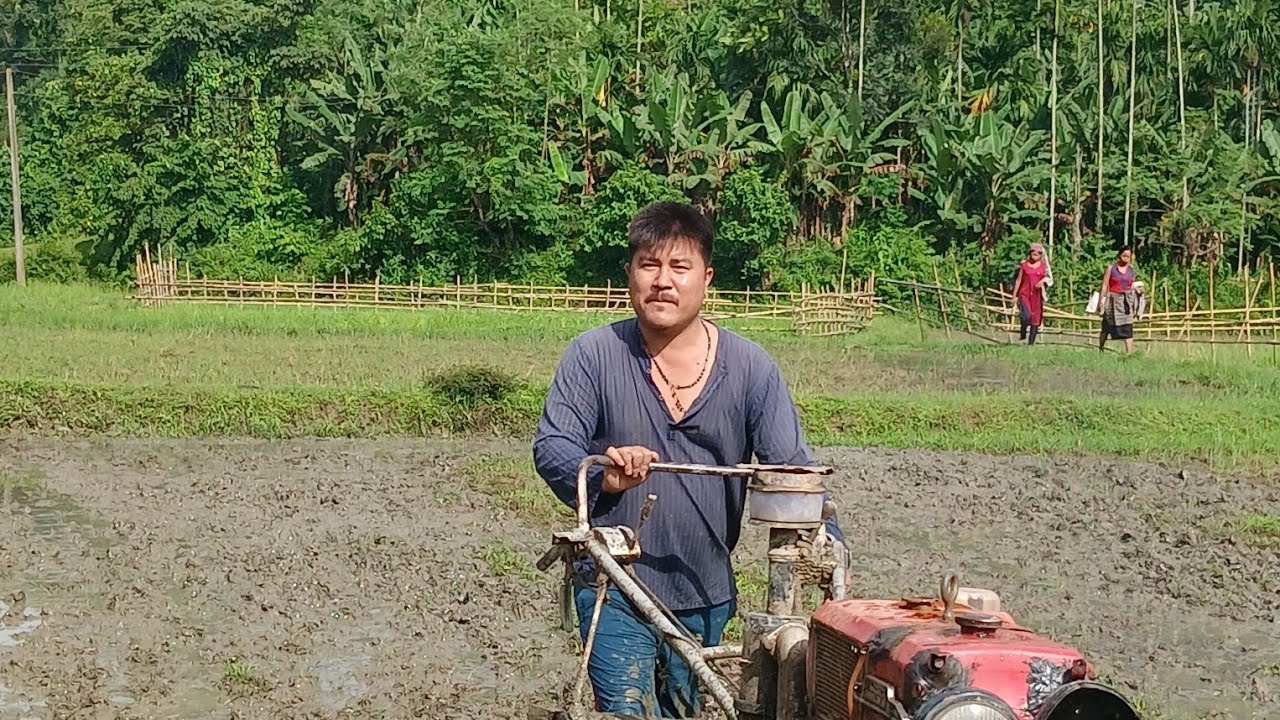 Productive days in the Village || Farming life || Jhum Cultivation || Simple Life, Pure Joy|| 