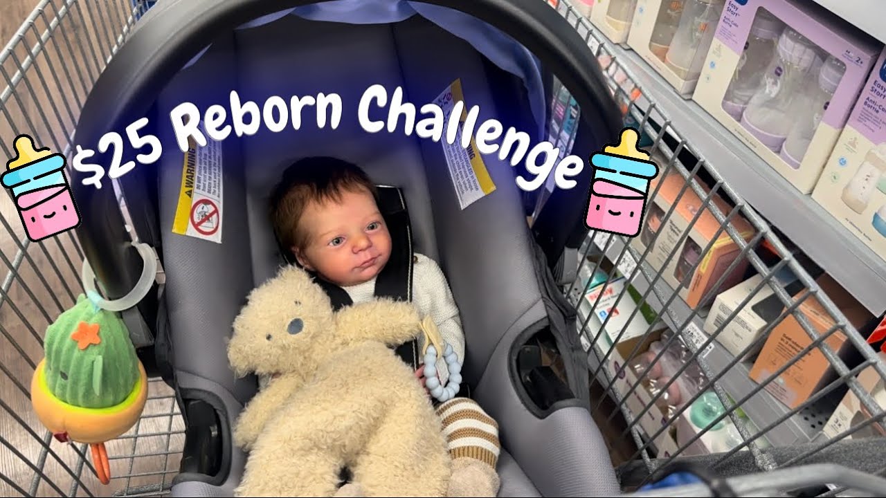Buying Everything a Reborn Baby Needs for Under $25| Reborn Outing Challenge