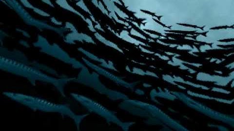 The Black Lotus (TBL) - Starstruck - Amiga AGA (2006)