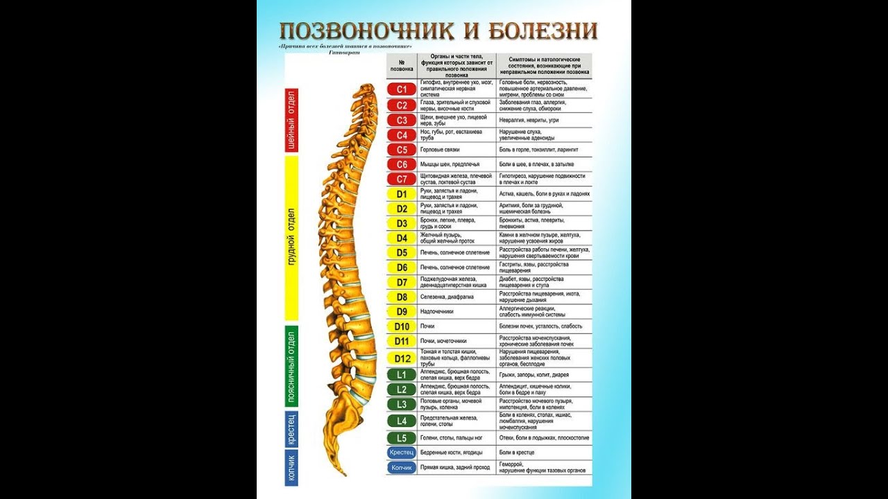 Болезни спины и позвоночника