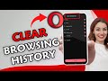 How to Clear Browsing History in Opera Mini 2025?