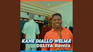 Download Lagu Deliya (Remix) MP3