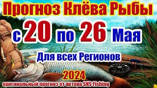Прогноз клева рыбы на Эту неделю с 20 по 26 Мая Прогноз клева рыбы Лунный Календарь рыбака