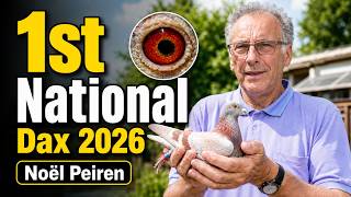 Noël Peiren Wins 1st National Dax 2026 | BE-22-3076005 Against 2,315 Pigeons