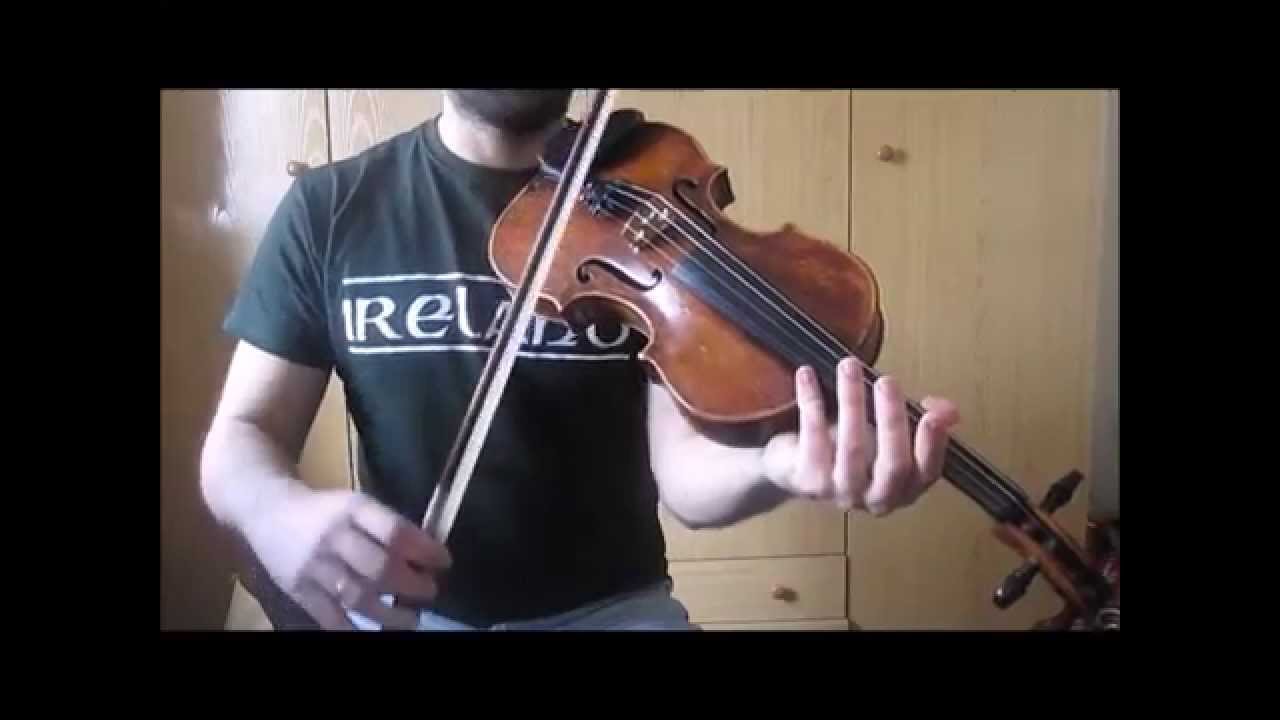 Diferencias entre contrabajo y violonchelo