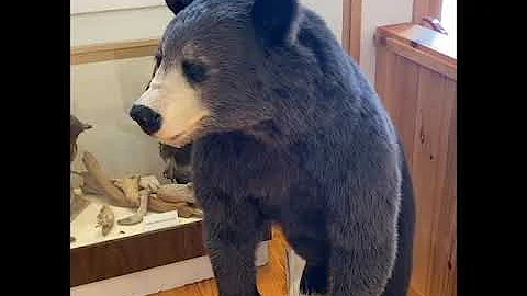 Ask an Expert: Grand Lake Stream Historical Museum...