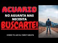 ACUARIO♒️SI, ESTA QUE REVIENTA DE LAS GANAS DE VERTE || QUIERE A COMO DE LUGAR BUSCARTE ||