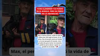 Amistad Sin Límites: El Perro que Enfrentó la Tormenta por un Anciano