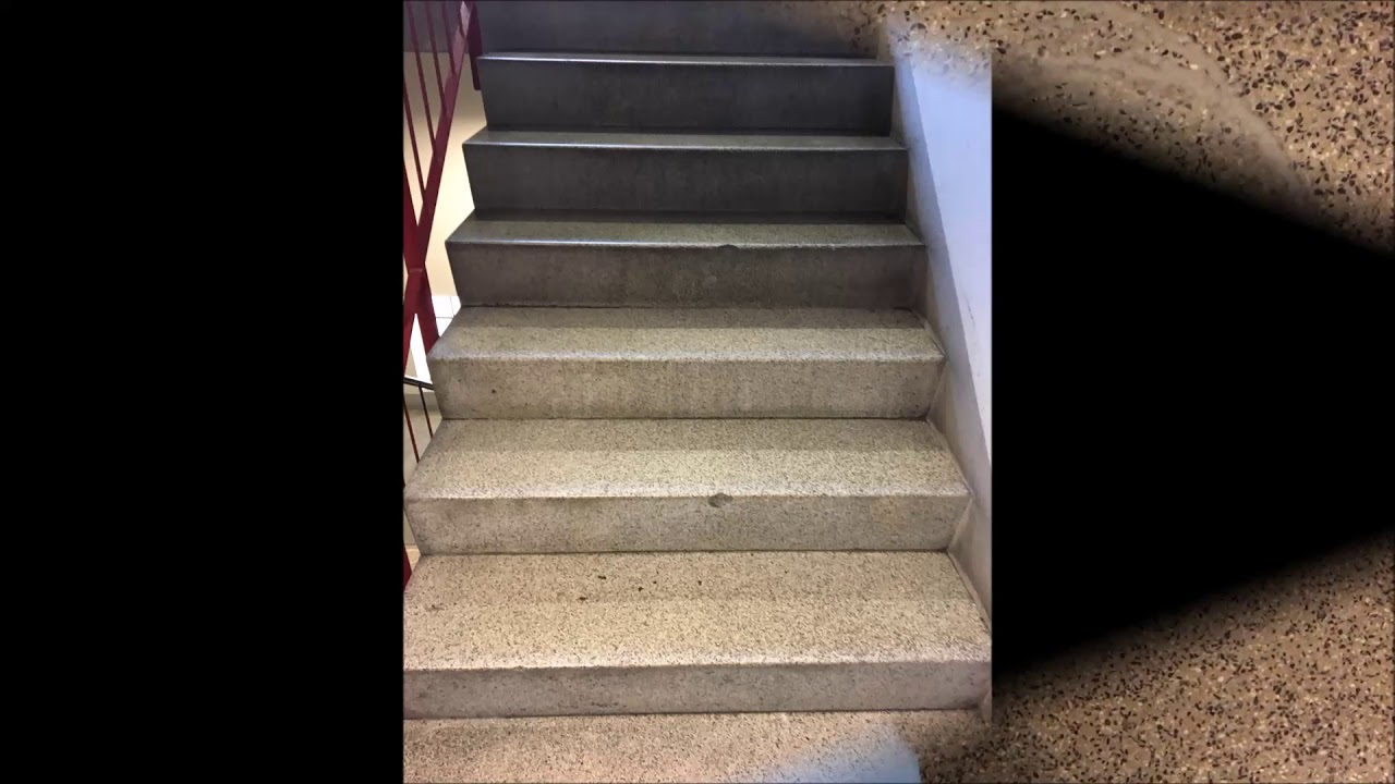 Kunststeintreppen Terrazzo maschinell grundreinigen und imprägnieren