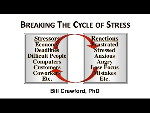 Breaking the Cycle of Stress - YouTube