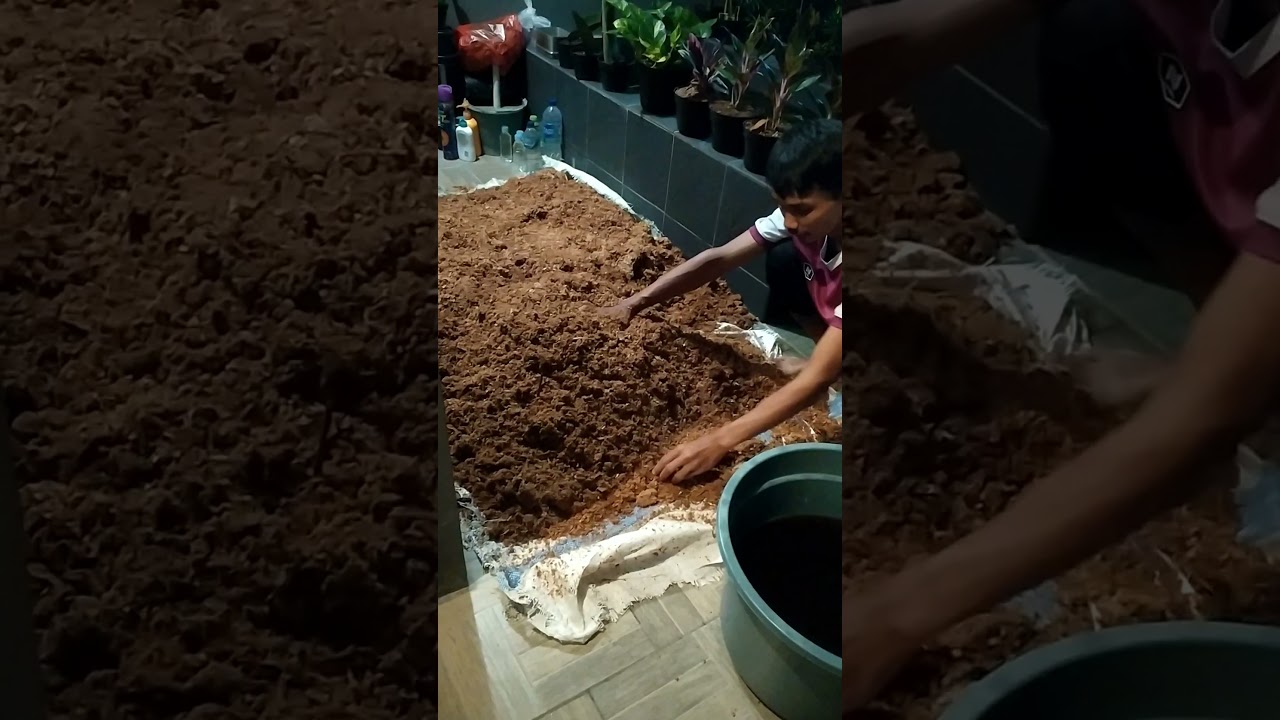 Media Tanam Subur Alternatif Fermentasi Serbuk Kayu dikembangkan oleh Arif Sulaksono