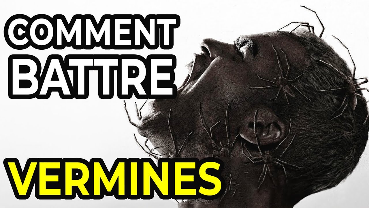 Comment Battre L’APOCALYPSE DES ARAIGNÉES Dans VERMINES