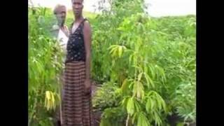 Details PFCD Presents Disaster Risk Reduction Video Village Boera (PNG) PART 1/3 Update