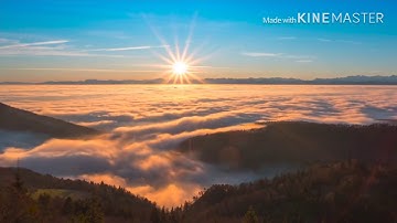 Introduction of pygmalion