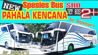 Spesies Bus Pahala Kencana[SHDJet2+],Jur Jogja & Bojonegoro screenshot 4