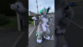 The song 🥰 #furries #fursuit #viral #tiktok #fyp #shorts