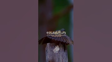 إن في اختلاف الليل والنهار وما خلق الله في السماوات والأرض لآيات لقوم يتقون