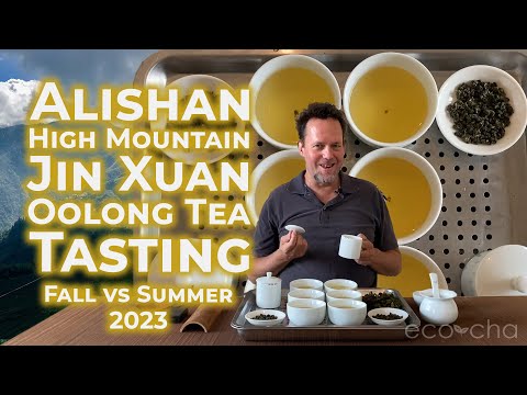 3D porno oyin APK Yalangoch qiz suzmoqda