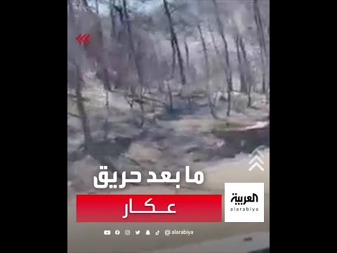 فيديو يوضح آثار الحريق الذي اجتاح مساحات واسعة من غابات منطقة عكار في لبنان