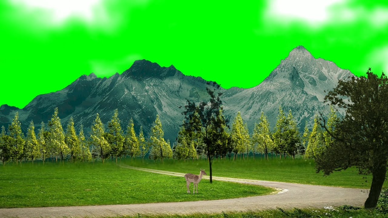 New Beautiful Nature Background Green Screen Video Effects // Green Screen Video VFX