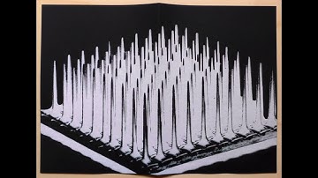 Universal Declaration of Archives. The Cage. Madrid 2019.