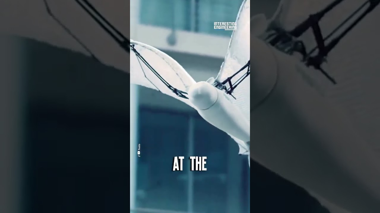 Bio-Inspired Robotics: Nature Meets Technology 