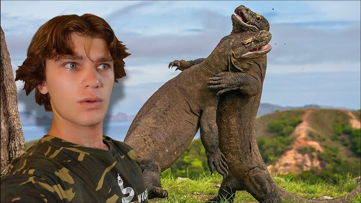 I Survived 3 Days with Komodo Dragons! (Komodo Eats Buffalo)