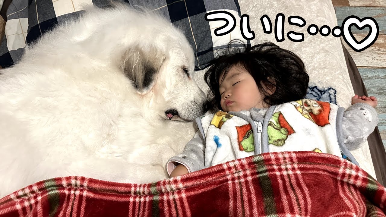 祝♡】眠っている2歳児を起こさないようにそっと近づき一緒に寝ちゃっ