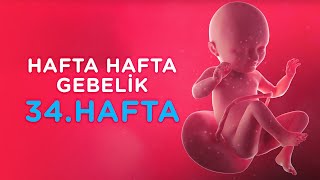 Hamilelikte 34. Hafta - Hafta Hafta Gebelik | İlk Adımlarım Resimi