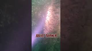 Divers STUNNED After Uncovering Detroit’s DARKEST Secrets!