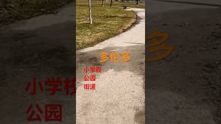 多伦多 小学校 街道 公园