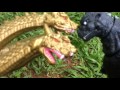 Middle of video