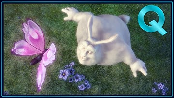 Showing a Raspberry Pi 2 as Kodi Home Theatre PC