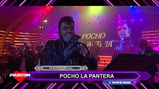 Video thumbnail of "Recordamos a Pocho la Pantera en Pasion de Sabado 13 6 2020"