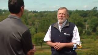 How Weather Affects Fall Foliage - Einstein Science Center on CBS Philly