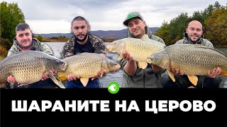 ЗА ШАРАНИ НА ЯЗ. ЦЕРОВО - Есенен риболов на красиви и борбени риби със страхотна компания!