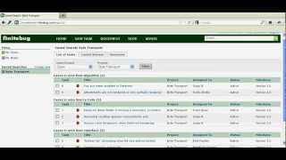 Finitebug: Bug tracking application walk-through