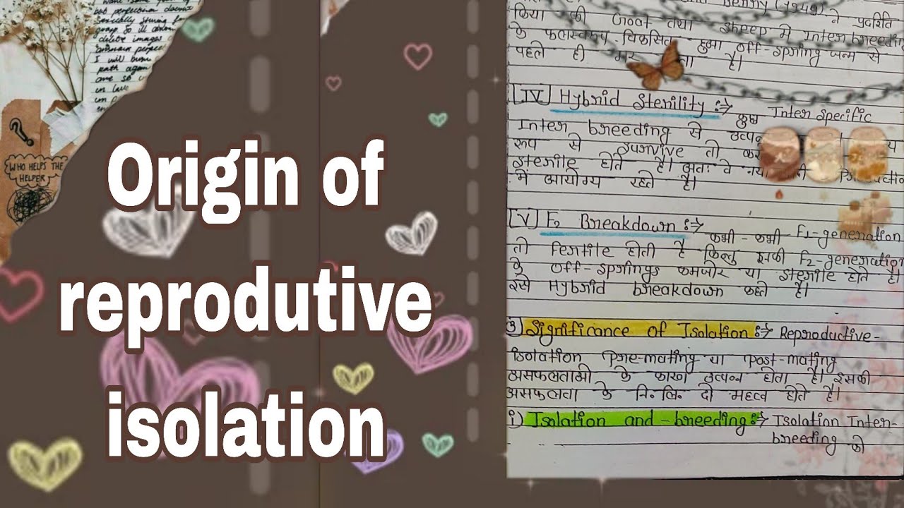 Origin of reproductive isolation (m.sc zoology notes in hindi) YouTube