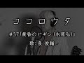 ココロウタ#37【黄昏のビギン 水原弘(1959)】歌:泉 俊輔