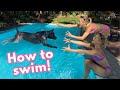 Teaching our PUPPY How to SWIM!