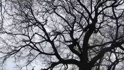 Hereford Sixth Form College Film Studies Show Reel 2015