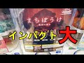 【ガシャポン】10回コンプチャレンジ💪まちぼうけ能面の場合編たにっちチャンネル#能面   #ガチャガチャ