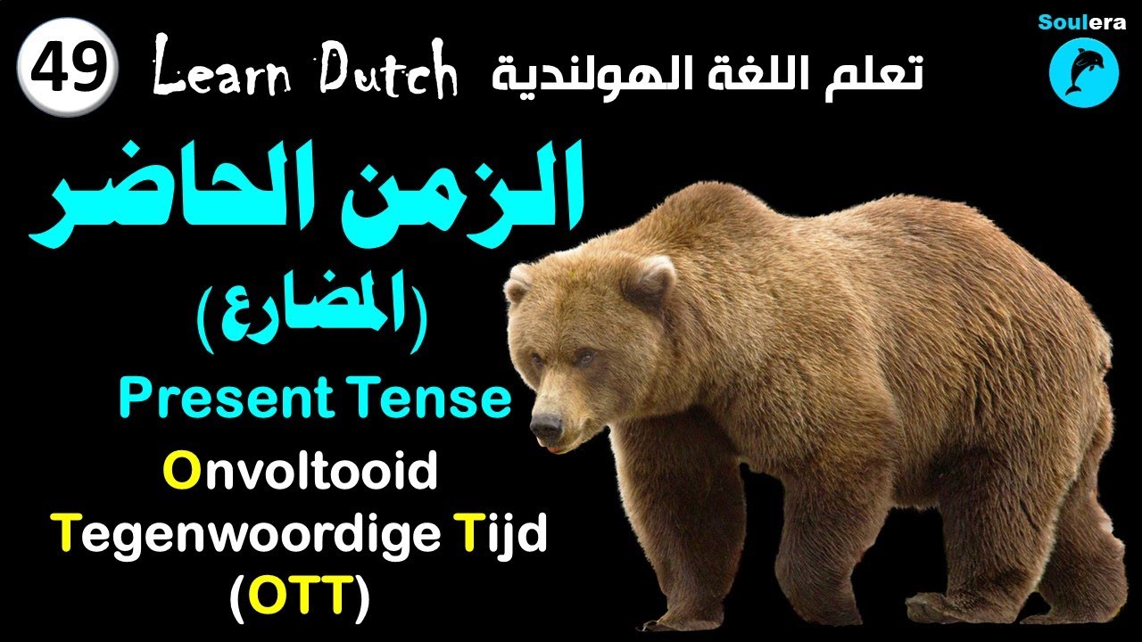 د71- خطوة 49: الزمن المضارع (الحاضر) في اللغة الهولندية - مقدمة 🐬